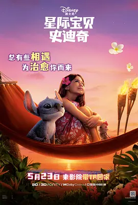 天天精品视频