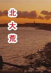 国产日产在线观看